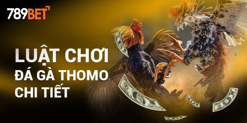 Luật chơi Đá gà thomo chi tiết