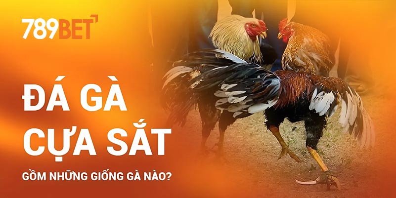 Đá gà cựa sắt gồm những giống gà nào?